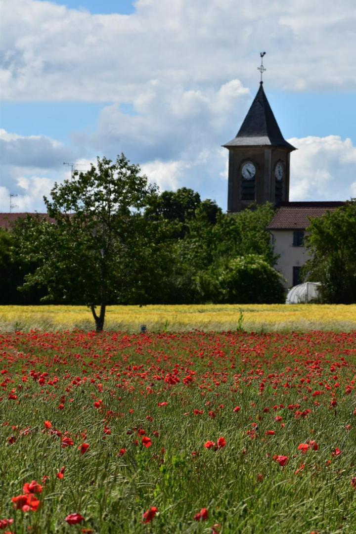 Bergerie Francique Διαμέρισμα Lachaussee Εξωτερικό φωτογραφία